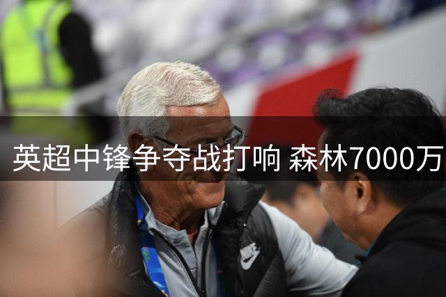 英超中锋争夺战打响 森林7000万盯上前热刺标王